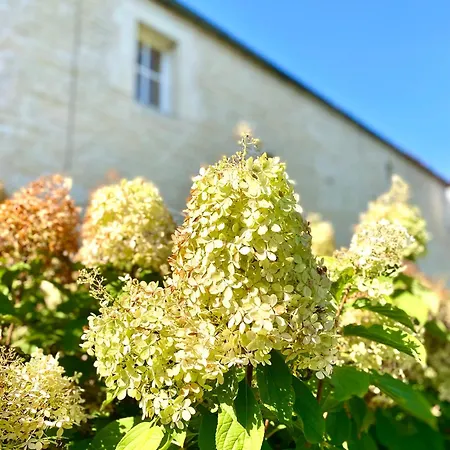 Aux Agapanthes, Maison De De Charme Avec Piscine Charente Maritime Apartman *