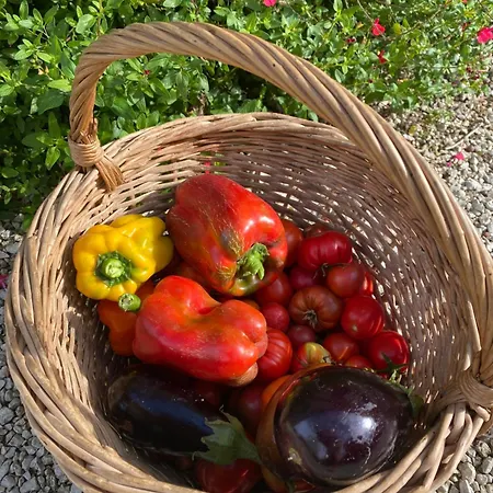 Aux Agapanthes, Maison De De Charme Avec Piscine Charente Maritime Apartman