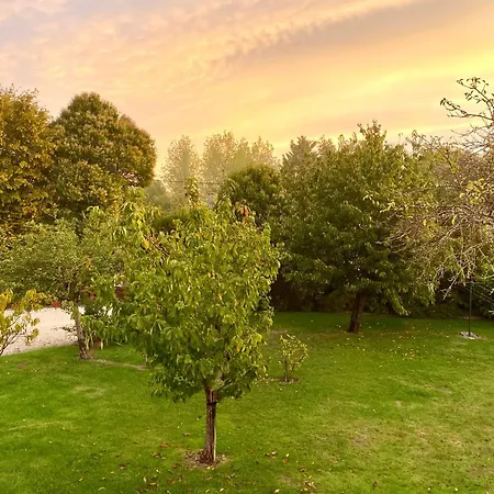 Aux Agapanthes, Maison De De Charme Avec Piscine Charente Maritime Aumagne