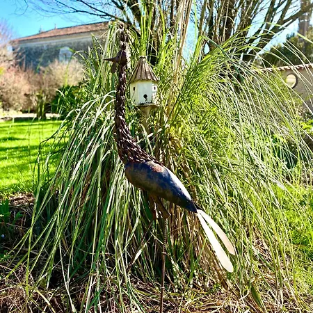 Aux Agapanthes, Maison De De Charme Avec Piscine Charente Maritime * Aumagne