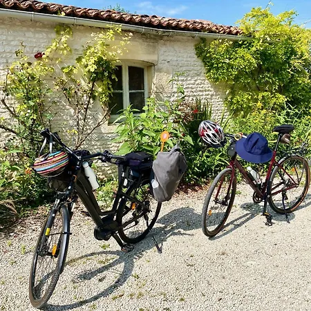 Aux Agapanthes, Maison De De Charme Avec Piscine Charente Maritime * Aumagne