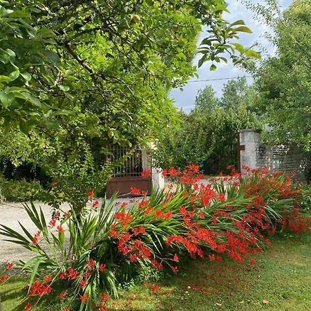 Apartman Aux Agapanthes, Maison De De Charme Avec Piscine Charente Maritime *