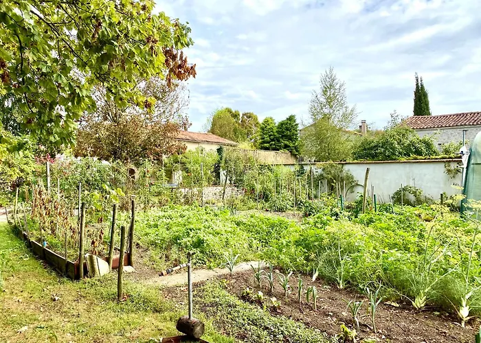 Aux Agapanthes, Maison De De Charme Avec Piscine Charente Maritime Lejlighed Aumagne