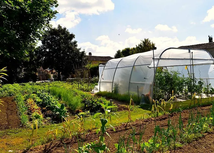 Lejlighed Aux Agapanthes, Maison De De Charme Avec Piscine Charente Maritime Aumagne