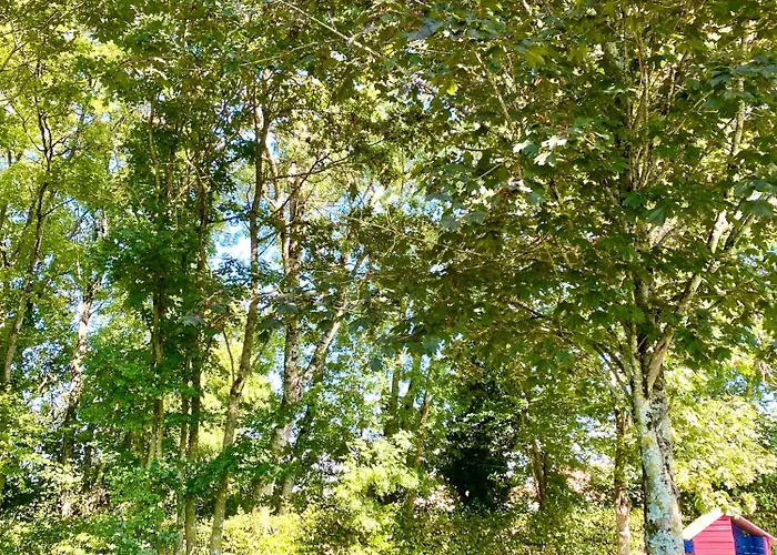 Aux Agapanthes, Maison De De Charme Avec Piscine Charente Maritime * Aumagne