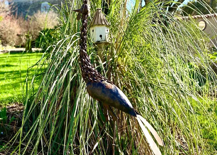 Aux Agapanthes, Maison De De Charme Avec Piscine Charente Maritime * Aumagne